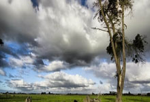 帕克效力老鹰，迎来职业生涯新挑战