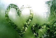 亚洲杯足球赛决赛战役激烈，胜者屹立