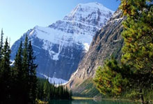 帕克效力老鹰，迎来职业生涯新挑战