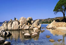 亚洲杯足球赛决赛战役激烈，胜者屹立