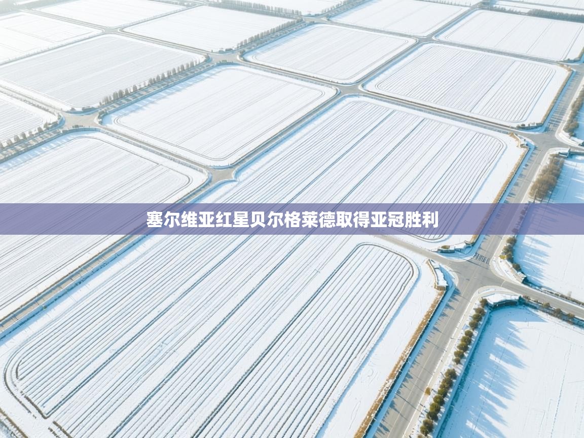 塞尔维亚红星贝尔格莱德取得亚冠胜利  第2张