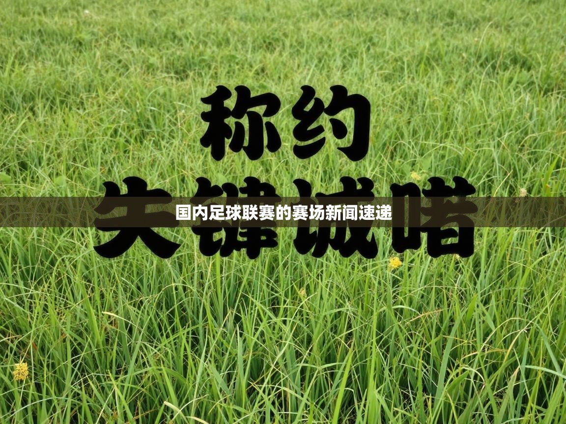 国内足球联赛的赛场新闻速递